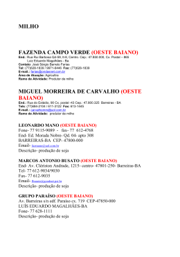 MILHO FAZENDA CAMPO VERDE (OESTE BAIANO