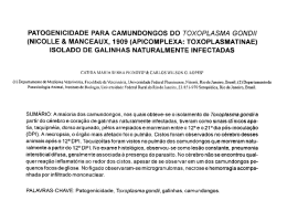 Resumo (Portugu&ecirc;s)