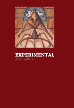 EXPERIMENTAL EXPERIMENTAL - PIPA &ndash; Pr&ecirc;mio IP de Arte
