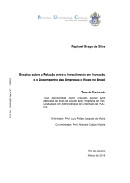 Raphael Braga da Silva Ensaios sobre a Rela&ccedil;&atilde;o entre o