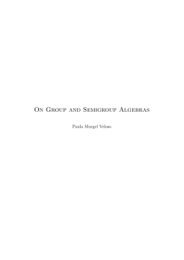 On Group and Semigroup Algebras