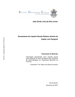Jo&atilde;o Emido Lima da Silva Junior Escoamento de L&iacute;quido Pseudo