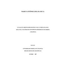 Disserta&ccedil;&atilde;o - Marco Ant&ocirc;nio Lima da Silva - TEDE
