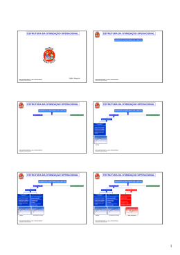 ESTRUTURA DA OTIMIZA&Ccedil;&Atilde;O OPERACIONAL