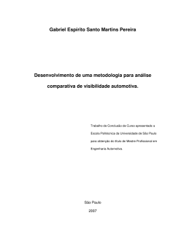 Gabriel Esp&iacute;rito Santo Martins Pereira Desenvolvimento