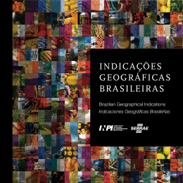 IndIca&ccedil;&otilde;es geogr&aacute;fIcas brasIleIras