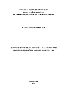 Pr&oacute;-Reitoria de Pesquisa e P&oacute;s-Gradua&ccedil;&atilde;o - UFES