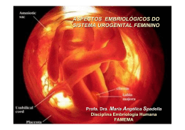Aspectos embriológicos do sistema urogenital feminino