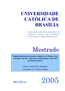 Mestrado - BDTD UCB - Universidade Católica de Brasília