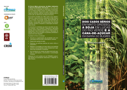 SERGIO SCHLESINGER - Dados e textos sobre a Luta pela Terra e