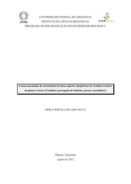 Disserta&ccedil;&atilde;o - Erika Portela de Lima Silva - TEDE