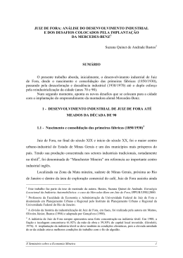 JUIZ DE FORA: AN&Aacute;LISE DO DESENVOLVIMENTO