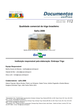 Vers&atilde;o para impress&atilde;o