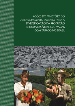 Relatório de diversificação versão em português final.cdr