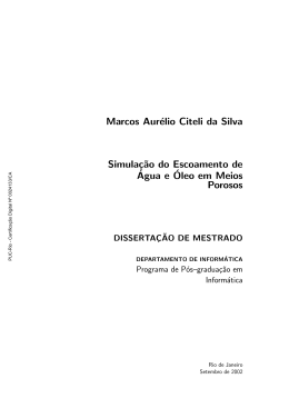 Marcos Aurélio Citeli da Silva Simulaç˜ao do Escoamento