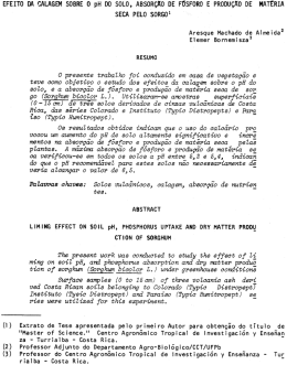 Arquivo em PDF