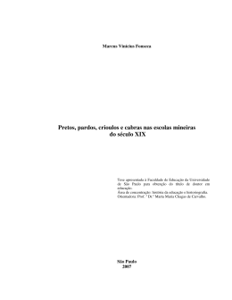 Pretos, pardos, crioulos e cabras nas escolas mineiras do s&eacute;culo XIX