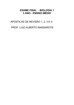 Prof. Luiz Alberto Massarote