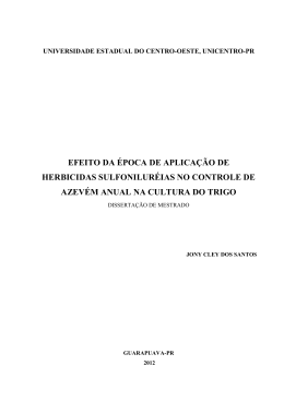 Disserta&ccedil;&atilde;o em PDF