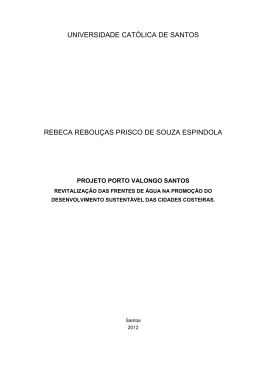 Dissertação 04_08_2012 FINAL - unisantos