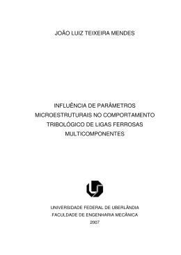 jo&atilde;o luiz teixeira mendes influ&ecirc;ncia de par&acirc;metros