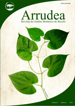 Arrudea - Prefeitura do Recife