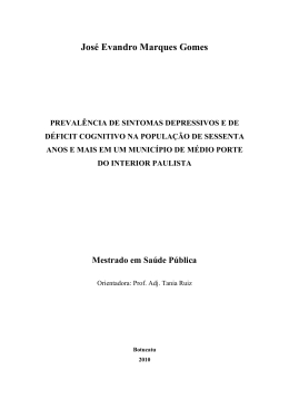 Jos&eacute; Evandro Marques Gomes