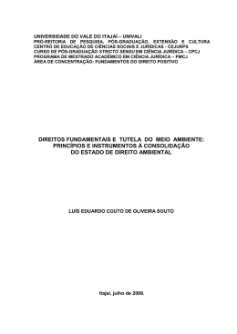 direitos fundamentais e tutela do meio ambiente