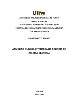 ARAUJO, Ricardo Melo - ppgem