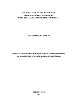 Adriano Menezes da Silva