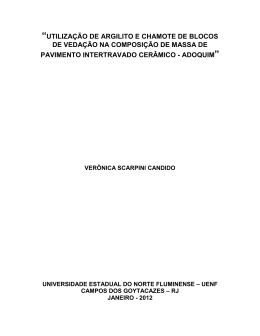 Utiliza&ccedil;&atilde;o de argilito e chamote de blocos de veda&ccedil;&atilde;o na