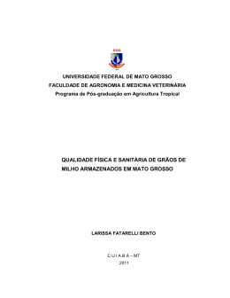 qualidade f&iacute;sica e sanit&aacute;ria de gr&atilde;os de milho armazenados