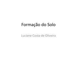 Forma&ccedil;&atilde;o do Solo - Docente