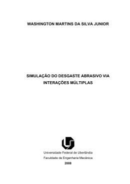 WASHINGTON MARTINS DA SILVA JUNIOR SIMULA&Ccedil;&Atilde;O