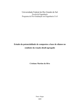 Disserta&ccedil;&atilde;o de Mestrado_ Cristiane Martins da Silva