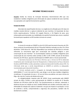 INFORME T&Eacute;CNICO 02/2013
