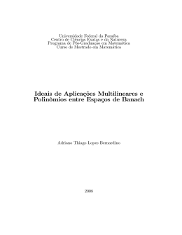 Ideais de Aplica&ccedil;&otilde;es Multilineares e Polin&ocirc;mios entre Espa&ccedil;os de