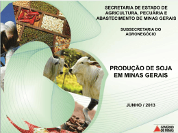 PRODU&Ccedil;&Atilde;O DE SOJA EM MINAS GERAIS