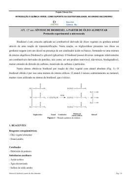 Protocolo experimental a microescala