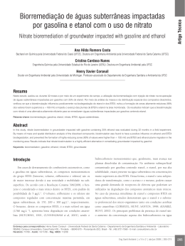 Biorremedia&ccedil;&atilde;o de &aacute;guas subterr&acirc;neas impactadas por