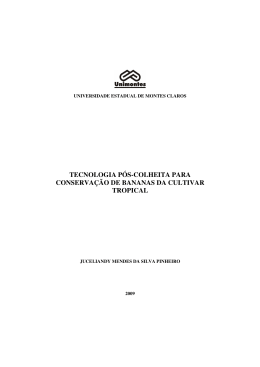 Juceliandy Mendes da Silva Pinheiro