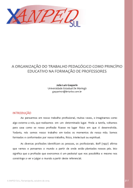a organiza&ccedil;&atilde;o do trabalho pedag&oacute;gico como princ&iacute;pio
