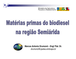 Marcos Antonio Drumond &ndash; Engo Ftal. Dr - Ainfo