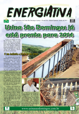 Informativo - usina s&atilde;o domingos