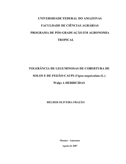 Dissertacao Final Helder - TEDE