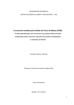 A economia medida pela An&aacute;lise de Fluxo de Massa (AFM): A