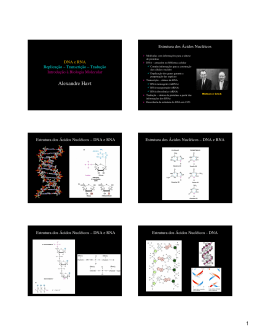 DNA e RNA, replicação, transcricao e Traducao