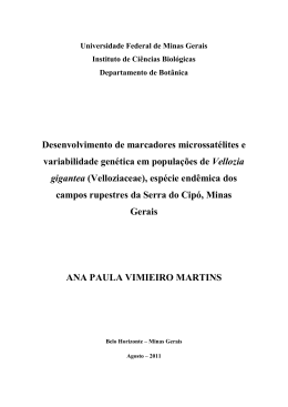 disserta__o_mes paula_vimieiro_martins