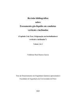 2-revis&atilde;o bibliogr&aacute;fica sobre escoamento g&aacute;s-