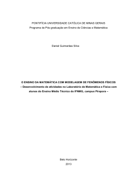Disserta&ccedil;&atilde;o - Pontificia Universidade Catolica de Minas Gerais